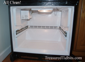 Clean Drawer Bottom Freezer