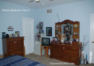 Master Bedroom View 4