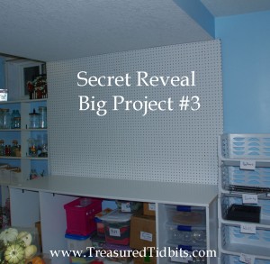 Blank Pegboard Secret Reveal Project #3