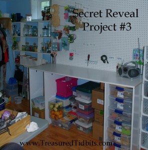 Secret Reveal Project #3 Pegboard in Transition