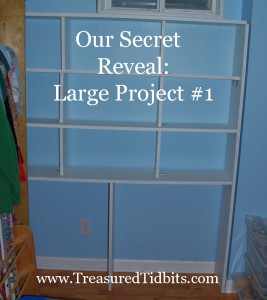 Secret Reveal White Shelf