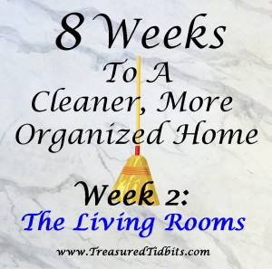 8 Weeks to A Cleaner More Organized Home Week 2