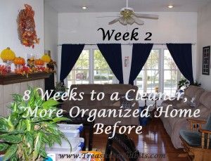 Week 2 Before 8 Weeks to a Cleaner, More Organized Home
