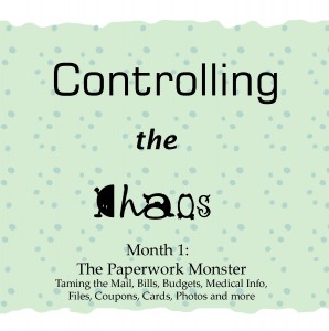 Controlling the Chaos Month 1 The Paperwork Monster