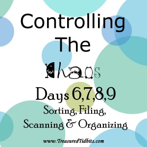 COntrolling the Chaos Daily Template