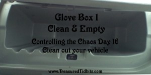 Clean and Empty Glovebox 1 Controlling the Choas Day 16