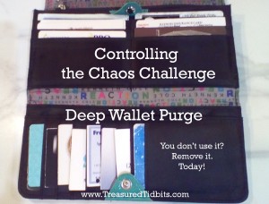 Controlling the Chaos Challenge The Deep Wallet Purge