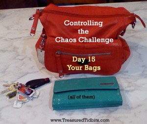 Controlling the Chaos Challenge Your Bags