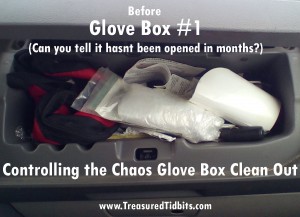 Controlling the Chaos Glove Box CLean Out # 1 Before