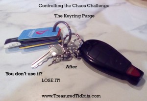 Controlling the Chaos Keyring Purge After