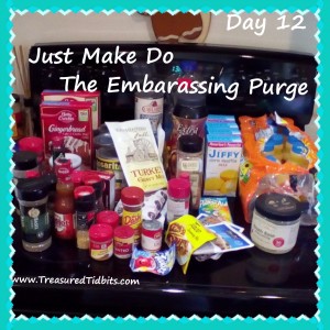 Day 12 The Embarassing Purge Just Make Do (3)