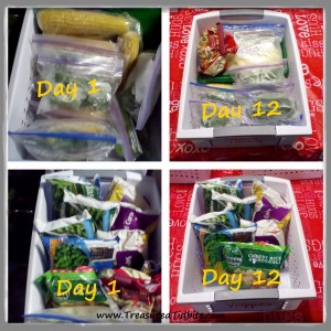 Just Make Do Challenge Veggie Baskets Day 1 & Day 12