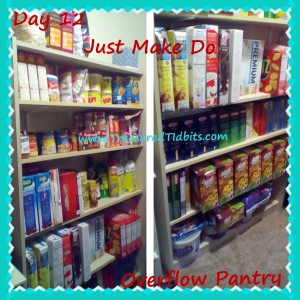 Just Make Do OverFlow Pantry Day 12 (3)