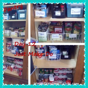 Pantry Day 12 Just Make Do (2)