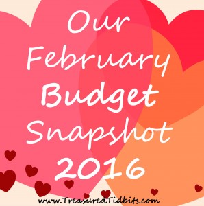 February Budget Snapshot 2016