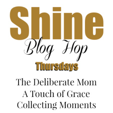 Link Up Shine Blog Hop Image