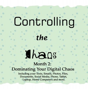 Controlling the Chaos Month 2 Dominating the Digital