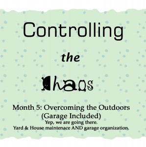 Controlling the Chaos Month 5 The OUtdoors and the Garage