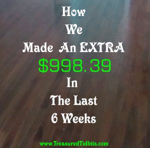 How We Earned an Extra $998.39