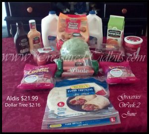 ALdi's Week 2 June's Shopping Trip