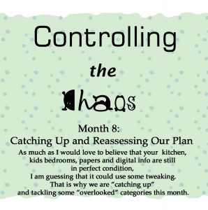 Controlling the Chaos Month 8 Catching Up and Reassessing Our Plan