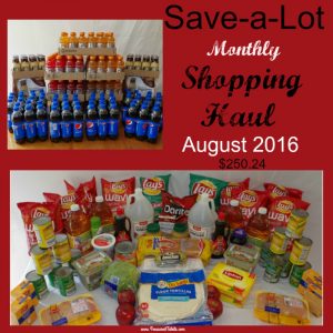Save a Lot Monthly Shopping Haul August 2016 Stocking up