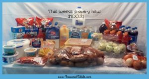 menu-monday-#20-grocery-haul-100-21