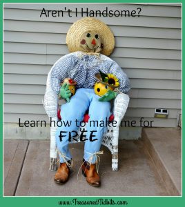 zero-budget-scarecrow-how-to-facebook