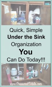 quick-simple-under-the-kitchen-sink-storage-you-can-do-today