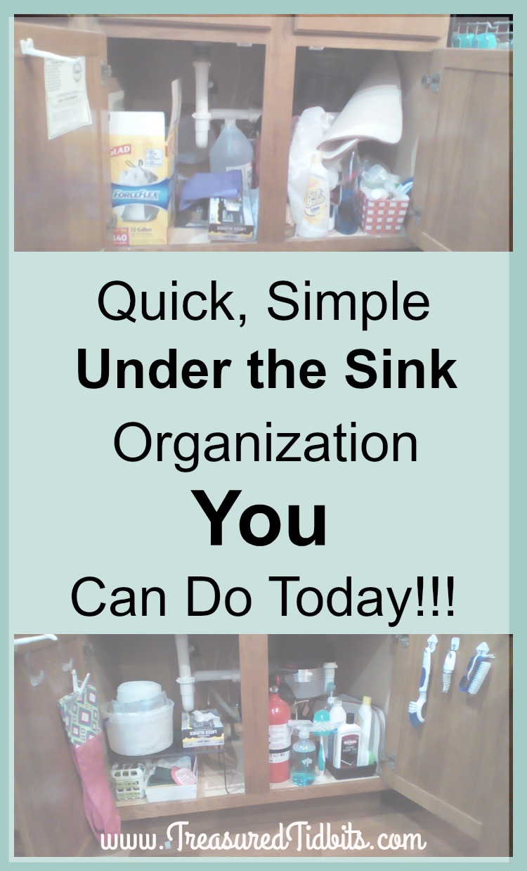 http://treasuredtidbits.com/wp-content/uploads/2016/10/Quick-Simple-Under-the-Kitchen-SInk-Storage-You-Can-Do-Today.jpg