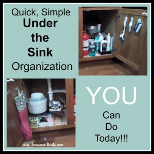 under-the-kitchen-sink-organization-facebook-square