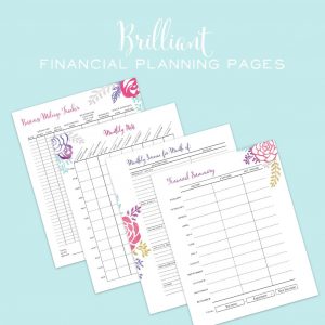 Having these preprinted, pretty planner pages has made a huge diffrence in how we track our income, expense, profits loss and even mileage and product selling price.