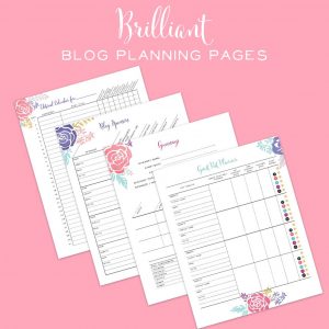 The Brilliant Business Planner blog pages keep me on track and help me write, complete and promote my blog posts with little effort.
