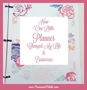 Do you feel out of control? I know I used to. This one litte planner changed by life and my businesses.