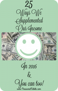 25 Ways We Supplemented Our Income in 2016 and You can too!