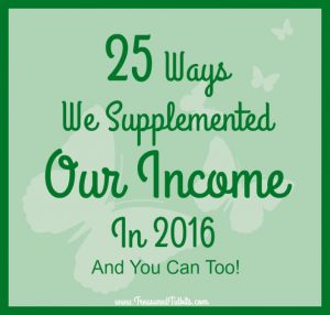 25 Ways We Supplemented Our Income in 2016 and You Can too!