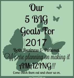 Our 5 Big Goals for 2017 and How We Plan To make it AMAZING!!!