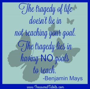 Tragedy of life does not lie in not reaching your goals. The tragedy lies in having no goals to reach. Benjamin Mays